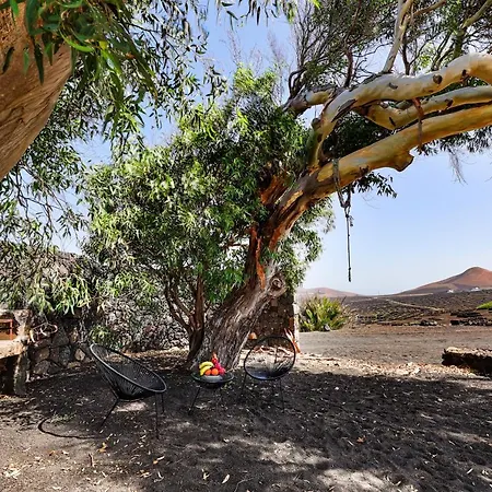 Hébergement de vacances Petit La Geria Lanzarote